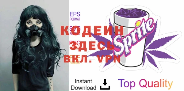 стаф Вяземский