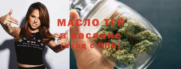 стаф Вяземский
