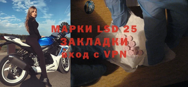 стаф Вяземский