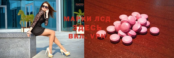 стаф Вяземский