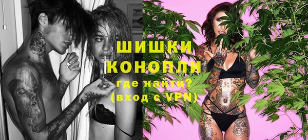 стаф Вяземский