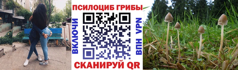 Псилоцибиновые грибы Cubensis Меленки